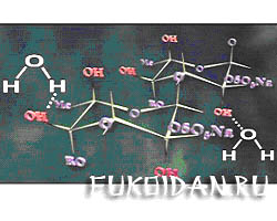Молекула Фукоидана